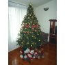 Árbol de Navidad de Familia Sánchez Carrillo (Concepción / Chile)