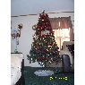 Árbol de Navidad de Alba Anguiano (North Carolina, Estados Unidos)