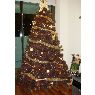 David López Ros's Christmas tree from Sabadell, Barcelona, España