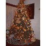 Rendry González's Christmas tree from Venezuela