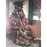 Cruz Ventura's Christmas tree from Santo Domingo, Rep. Dominicana