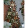 Weihnachtsbaum von Familia Acosta Urribarri (Maracaibo, Venezuela)