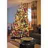 Weihnachtsbaum von Robert Sheppard (Toronto, ON, Canada)