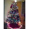 Nanichy's Christmas tree from Puerto Rico