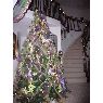 Theresa Chu's Christmas tree from USA