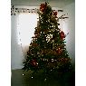 Vhl's Christmas tree from Caracas, Venezuela