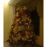 Mairim Villalobos's Christmas tree from Maracaibo, Venezuela