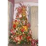 Margot Carrasco's Christmas tree from Barquisimeto, Venezuela