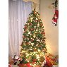 Cynthia Urrutia's Christmas tree from Chile