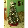 Melva E. Fortuna Collazo's Christmas tree from Quebradillas, Puerto Rico