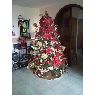 Thais R. Medina's Christmas tree from Venezuela, Los Teques