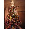 Lynda Simard's Christmas tree from alma lac-st-jean