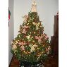 Angela Navarrete's Christmas tree from Bogota, Colombia