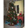 Angelina Mele's Christmas tree from Davie, Florida, USA