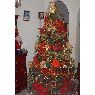 Iris Núñez's Christmas tree from Maracaibo, Venezuela