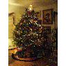 Linda Caramanic's Christmas tree from Wantagh, NY, USA