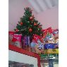 Jessica Alejandra Duran Acosta's Christmas tree from Ibague, Colombia