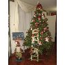Mari Carmen Espinoza's Christmas tree from Tacna, Peru