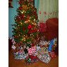 Jumir Valera's Christmas tree from Higuerote, Miranda, Venezuela
