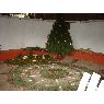 Ubaldo Martinez Jeronimo's Christmas tree from Puebla, Mexico