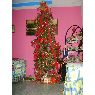 Miguel Yanguez's Christmas tree from Panamá, Panamá