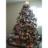Edi Brennan's Christmas tree from Canada