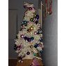 Árbol de Navidad de Kara Keenan (Laveen, AZ, USA)