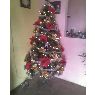 Wilmer Maestre's Christmas tree from Guarenas, Venezuela