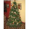 Weihnachtsbaum von Leidy (Santander)