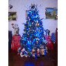 Karina Vera's Christmas tree from Barinas, Venezuela