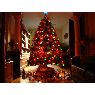 Lyne Blanchette's Christmas tree from Montréal, Québec, Canada