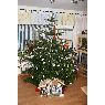 Thomas's Christmas tree from Nordhorn, Deutschland