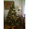 Weihnachtsbaum von Ana,Guille y Patricia (Madrid, España)
