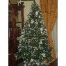 Samuel Arribas Serrano's Christmas tree from Pinilla del Valle, Madrid