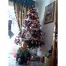 Árbol de Navidad de Sergio Lopez Lopez (Villacañas, Toledo, España)