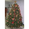 Weihnachtsbaum von Vicky Moran (Guadalajara, Mexico)