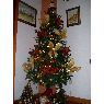 Angel García Ruiz's Christmas tree from Murcia, España