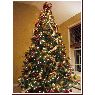 Árbol de Navidad de Scott Wright (Hooksett, NH, USA)