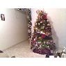 Efren Moriones's Christmas tree from Popayan, Colombia