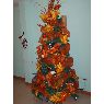 Susana Al Yousef's Christmas tree from Ciudad Bolivar, Venezuela