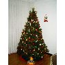 Familia Cifone-Ponte's Christmas tree from La Rioja, España