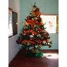 Weihnachtsbaum von Juan Carlos Gonzalez Somaza (Caracas, Venezuela)