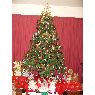 Graciela  Martinez's Christmas tree from Inglaterra