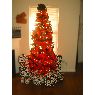 Armon Moore's Christmas tree from Fairburn, GA, USA