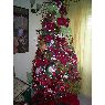 Familia Machin Rodriguez's Christmas tree from Cabudare, Venezuela