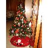 Puri's Christmas tree from Sevilla, España