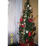 Familia Quiroga-Soria's Christmas tree from Canelones, Uruguay