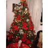 Mary Carmen Gonzalez's Christmas tree from Funchal, Isla de Madeira