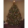 Reign Ikariyama's Christmas tree from Cedar Spring, MI, USA