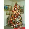 Familia Paz Marquez's Christmas tree from Maracaibo, Venezuela